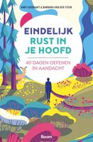 Eindelijk rust in je hoofd - Aart Goedhart, Barbara van der Steen - ebook