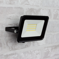 LED Bouwlamp wandmontage 30 Watt 2250 Lumen