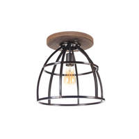 Design plafondlamp PL5934Z Birdie