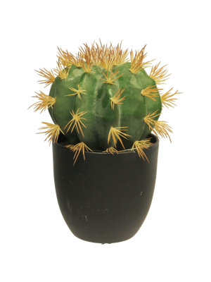 SO Golden Barrel cactus w/pot green 23 cm kunstbloem - Nova nature