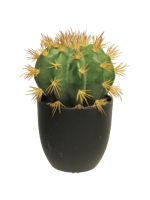 SO Golden Barrel cactus w/pot green 23 cm kunstbloem - Nova nature