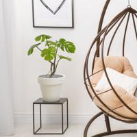 Monstera kunstplant 50cm