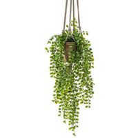 Groene hangende kunstplant ficus plant in pot - Kunstplanten