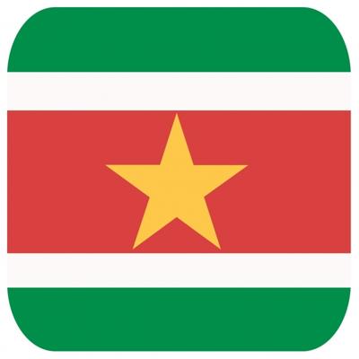 Bierviltjes Suriname - 30x stuks - vierkant - landen thema - 9x9 cm