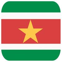 Bierviltjes Suriname - 30x stuks - vierkant - landen thema - 9x9 cm