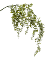 Eucalyptus hanging vine green 120 cm kunstbloem zijde nepbloem Emerald - Emerald