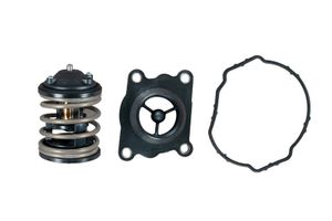 Thermostaat, koelvloeistof TH47487K1
