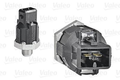 Knock Sensor Ren Clio Twingo 255400