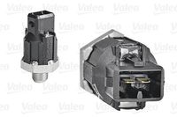 Knock Sensor Ren Clio Twingo 255400