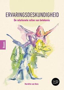 Ervaringsdeskundigheid (Paperback)