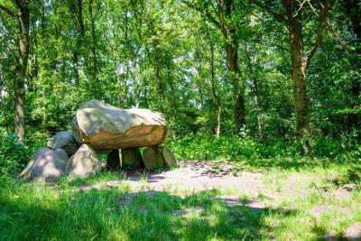 Tuinschilderij prehistorie 130x70cm - Customize it