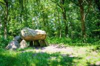 Tuinschilderij prehistorie 130x70cm - Customize it