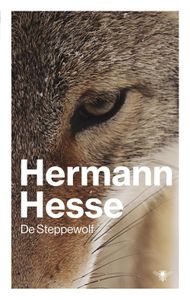 De steppewolf - Hermann Hesse - ebook