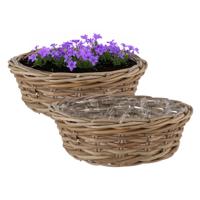 Plantenmand/aardappelmand tafelmodel - 2x - Ivy - met binnenzak - rotan - B40 x H13 cm - binnen/buit Plantenmand/aardappelmand tafelmodel - 2x - Ivy - met binnenzak - rotan - B40 x H13 cm - binnen/buit