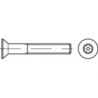 TOOLCRAFT TO-5380287 Veiligheidsschroeven M3.5 6 mm Binnen-T 88117 RVS A2 100 stuk(s)