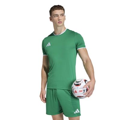 adidas Entrada 26 Voetbalshirt Groen Wit