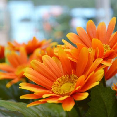 Gerbera kunstplant in pot 30cm - oranje