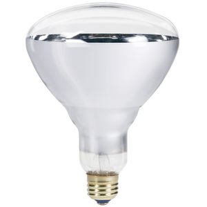 Philips 046677416744 gloeilamp 250 W