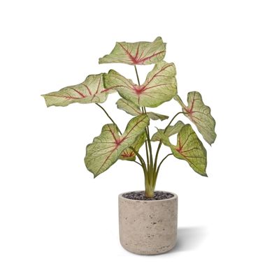 Caladium white queen kunstplant 45cm