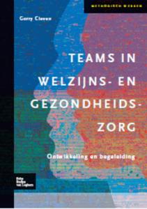 Teams in welzijns- en gezondheidszorg (Hardback)