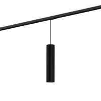Wever & Ducre - Ray on track (1F) 3.0 PAR16 Hanglamp