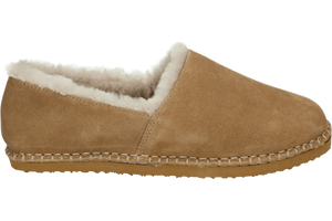 Ara 1529958 - alle