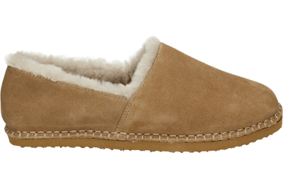 Ara 1529958 - alle
