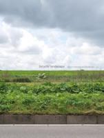 Bicycle Landscape / Bicycle Landscape (Hardback)