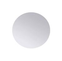 RVS schijf Ø45x3 mm (set van 2 stuks) - per stuk