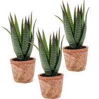 Set van 3x stuks Aloe Vera kunstplanten in terracotta pot 23 cm - thumbnail