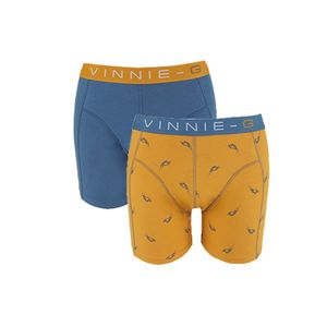 Vinnie-G Boys boxershorts Wakeboard Blue - Print 2-Pack-152/158