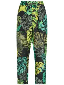 Amir Slama pantalon droit à imprimé tropical - Vert