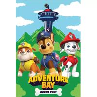 Paw Patrol fleece deken adventure 100 x 150 cm