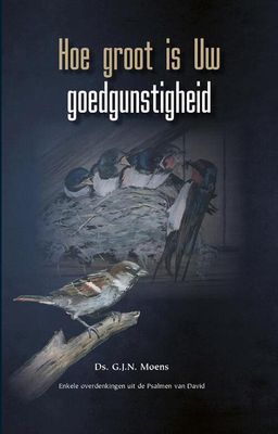 Hoe groot is Uw goedgunstigheid - G.J.N. Moens - Hardcover (9789461151872) Hoe groot is Uw goedgunstigheid - G.J.N. Moens - Hardcover (9789461151872)