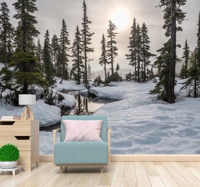 Bos fotobehang Winter zonneschijn