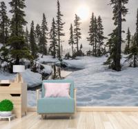 Bos fotobehang Winter zonneschijn