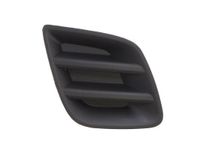 Ventilatiegrille, bumper 6502078179916P
