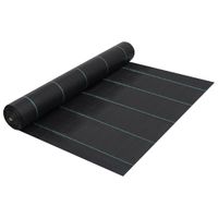 VidaXL Worteldoek 2x10 m pp zwart VidaXL Worteldoek 2x10 m pp zwart