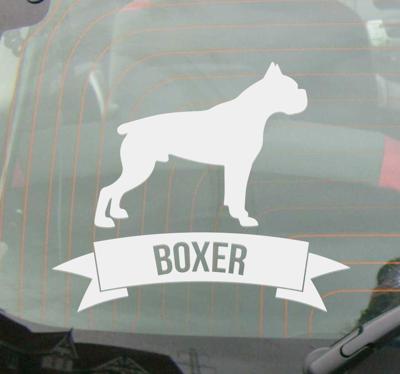 Auto bumper sticker boxer