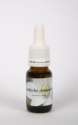 Star Remedies Indische amandel 10 Milliliter