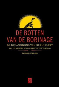 De botten van de Borinage - Sandra Cordier - ebook