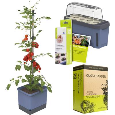 Gusta Garden Tomaten-Starter-Set 5-teilig blau TOM TOMATO / HARRY HERBS / Zubehör / W07081 Plantcontainer