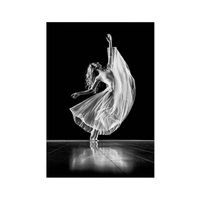 Schilderij op Paneel Balletdanseres White PVC 20x30 Een Ophangplaat