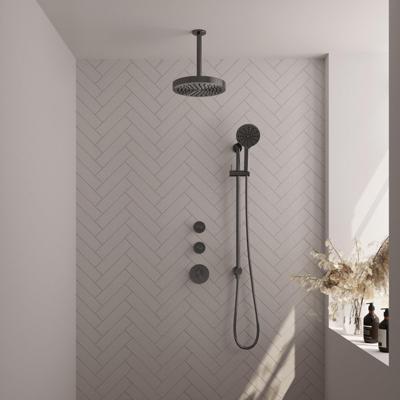 BRAUER Stripe Thermostatische Inbouw Regendouche - SET 12 - 25cm douchekop - plafondarm - 3-standen handdouche - doucheslang - geïntegreerde glijstang - gunmetal geborsteld PVD 5-GM-387