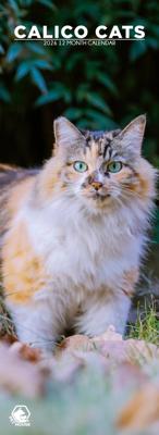 Calico Katten Slimline Kalender 2026 Calico Katten Slimline Kalender 2026