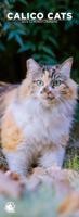 Calico Katten Slimline Kalender 2026