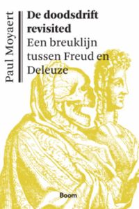 De doodsdrift revisited - Paul Moyaert - ebook