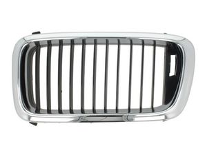 Radiateurgrille 6502070075991P