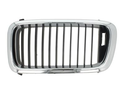 Radiateurgrille 6502070075991P