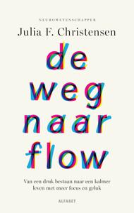 De weg naar flow (Paperback)